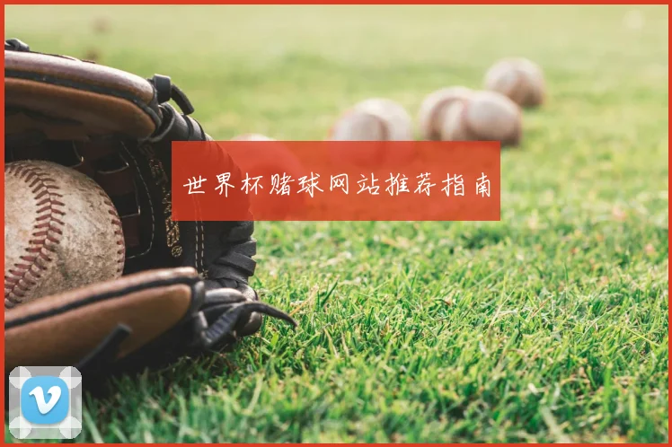 世界杯赌球网站推荐指南