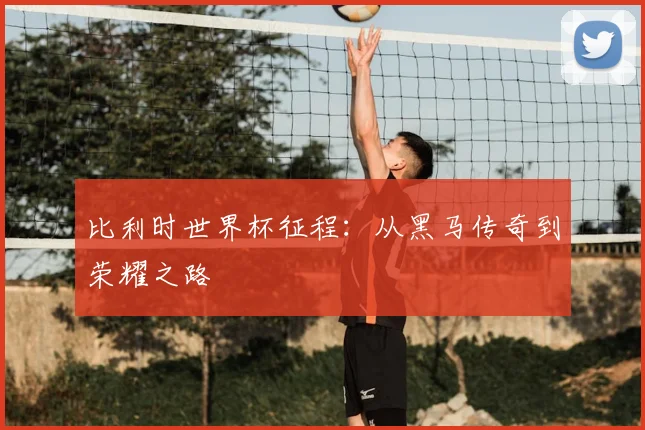 比利时世界杯征程:从黑马传奇到荣耀之路