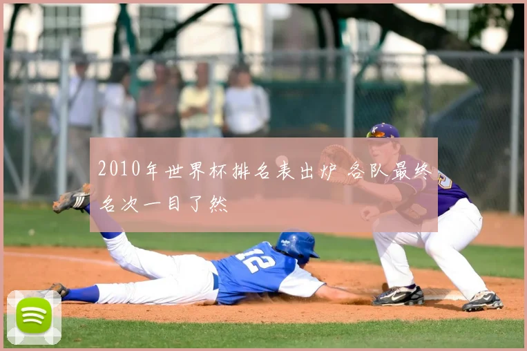 2010年世界杯排名表出炉 各队最终名次一目了然