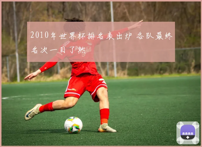 2010年世界杯排名表出炉 各队最终名次一目了然