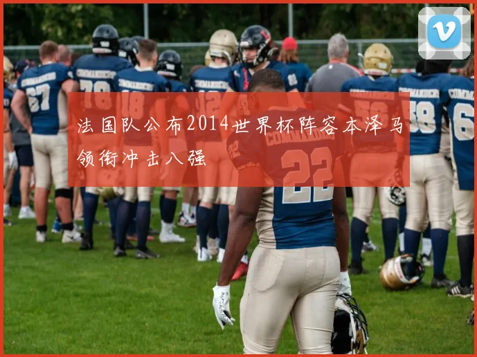 法国队公布2014世界杯阵容本泽马领衔冲击八强