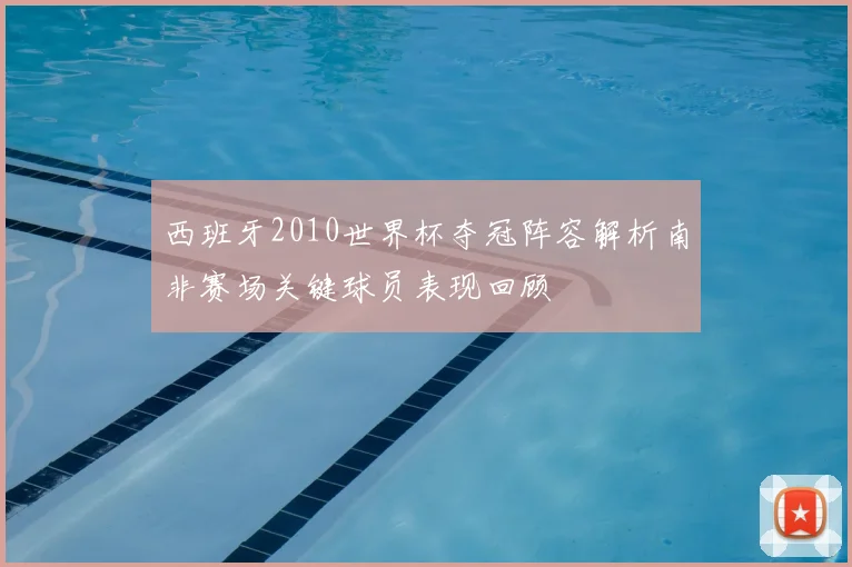 西班牙2010世界杯夺冠阵容解析南非赛场关键球员表现回顾