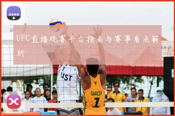UFC直播观赛平台指南与赛事看点解析
