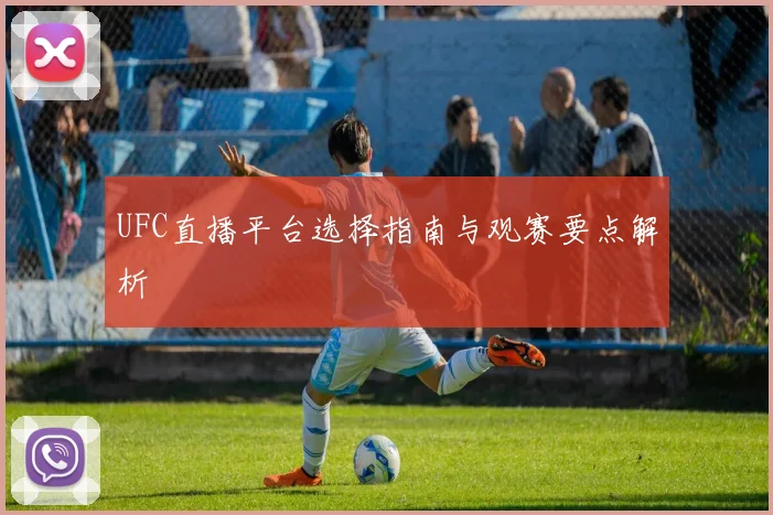 UFC直播平台选择指南与观赛要点解析