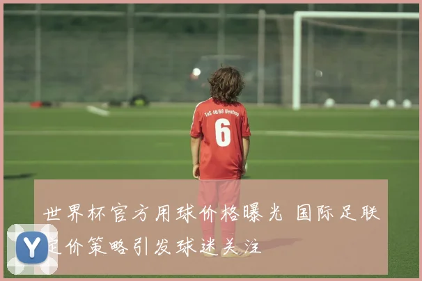 世界杯官方用球价格曝光 国际足联定价策略引发球迷关注