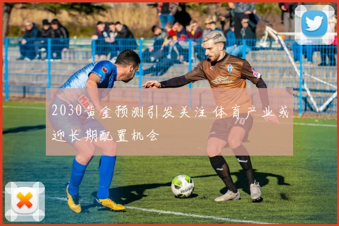 2030黄金预测引发关注 体育产业或迎长期配置机会
